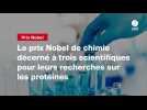 VIDEO. Le prix Nobel de chimie décerné à trois scientifiques pour leurs recherches sur les protéines