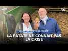 La patate ne connait pas la crise !