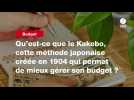 VIDEO. Qu'est-ce que le Kakebo, cette méthode japonaise créée en 1904 qui permet de mieux gérer son budget ?