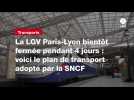 VIDÉO. La LGV Paris-Lyon bientôt fermée pendant 4 jours : voici le plan de transport adopté par la SNCF