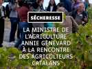 La Ministre de l'Agriculture rencontre les agriculteurs Catalans