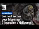 Les neuf sorties pour Halloween dans le Cambrésis