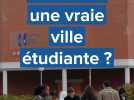 Le Havre devient-il une ville étudiante ?