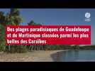 VIDÉO. Des plages paradisiaques de Guadeloupe et de Martinique classées parmi les plus bel