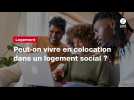 VIDÉO. Peut-on vivre en colocation dans un logement social ? On vous répond