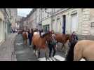 Aire-sur-la-Lys : plus de 80 chevaux défilent dans le centre-ville à l'occasion des Journées du patrimoine