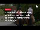 VIDÉO. Il percute un cheval avec sa voiture sur une route de l'Orne : l'affaire finit au tribunal