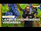 La fierté des premières vendanges