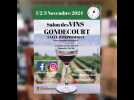 Salons des vins de Gondecourt 2024