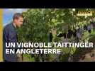 Une vignoble Taittinger en Angleterre