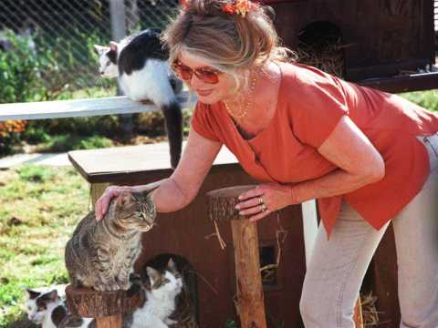 VIDEO : Brigitte Bardot, dfenseuse des animaux