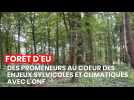 Balade en forêt d'Eu : des promeneurs au coeur des enjeux sylvicoles et climatiques avec l'ONF