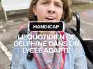 Handicap : Le quotidien de Delphine dans une structurée spécialisée