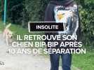 Il retrouve son chien Bip Bip après 10 ans de séparation