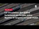 VIDEO. La circulation des trains fortement perturbée entre Nantes et Angers ce lundi matin