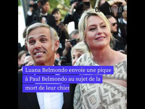 VIDEO : Luana Belmondo envoie une pique  Paul Belmondo au sujet de la mort de leur chien