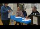 EU elections : polls open in Delgany, Ireland