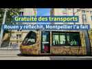 Gratuité des transports : Rouen y réfléchit, Montpellier l'a fait