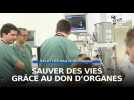 Don d'organes : un don de vie !