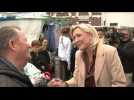 Legislative elections: Le Pen on the campaign trail in northern France