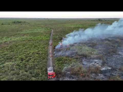 Record fires in Brazil's Pantanal wetlands