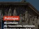 Politique - Campagne, gouvernement, conséquences... Comment ça marche, une dissolution de l'Assemblée nationale ?