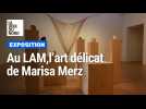 Exposition : la rétrospective Marisa Merz au LAM donne envie de rêver