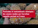 VIDÉO. Pesticides et contaminants chimiques : des ananas vendus par Carrefour rappelés par