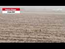 VIDÉO. Pluie diluvienne et grêle ont dévasté des centaines d'hectares de champs en Anjou