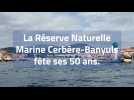 La réserve marine Cerbère-Banyuls fête ses 50 ans