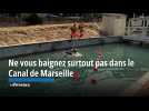 Même si la tentation est grande, ne vous baignez surtout pas dans le Canal de Marseille