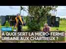 À quoi sert la micro-ferme urbaine aux Chartreux à Troyes ?
