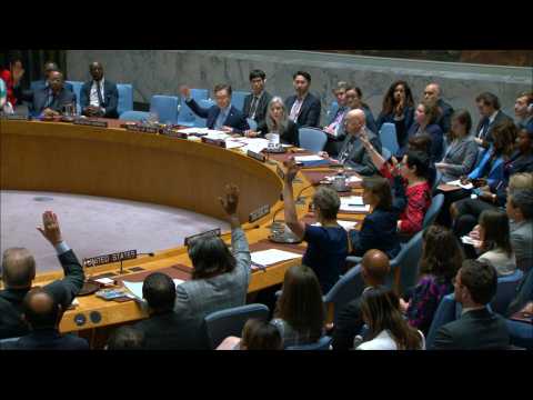UN Security Council votes for US-drafted Gaza ceasefire resolution