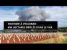 1er gros incendie de la saison dans la Var, 600 hectares brûlés à Vidauban