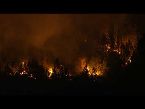 Fire burns through forest in the South of France