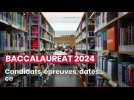 Baccalauréat 2024 : candidats, épreuves, dates... ce qu'il faut savoir