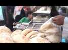 Egypte : hausse de 300% du pain subventionné