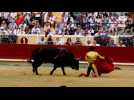 Corrida des 6 : les toreros au rendez-vous... pas les toros.