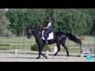 Jeux paralympiques : zoom sur l'épreuve de para dressage, seule discipline représentée en para-équitation