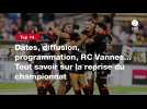 VIDÉO. Top 14. Dates, diffusion, programmation, RC Vannes... Tout savoir sur la reprise du championnat