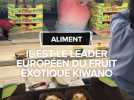 Un agriculteur du Tarn-et-Garonne leader européen du kiwano, fruit exotique originaire du Kenya