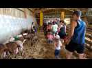 Initiation à la vie de la ferme au ranch du Pont Urgin à Planrupt