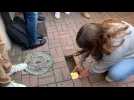 Stolpersteine : Des lycéens de Lille déposent des pavés de la mémoire face à la dernière adresse de victimes
