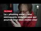 VIDÉO. Le « phishing vocal 