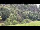 VIDÉO. Près de Saint-Lô, les Roches de Ham se refont une beauté en bord de Vire