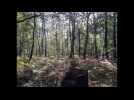 Série d'été : en balade sur les sentiers du bois de Roquelaure à Lapugnoy, avec Eden 62