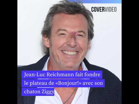 VIDEO : Jean-Luc Reichmann fait fondre le plateau de  Bonjour!  avec son chaton Ziggy