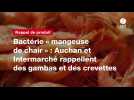 VIDÉO. Bactérie « mangeuse de chair 