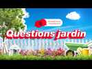 VIDÉO. Question jardin : les tomates