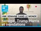 Dissolution de l'Assemblée nationale sénégalaise, Trump/Harris et inondations en Afrique de l'Ouest